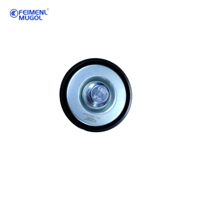 अच्छी कीमत फोर्ड ट्रांजिट/टेशुन के लिए मूल अल्टरनेटर बेल्ट टेन्शनर पल्ली ₹ OEM गुणवत्ता ऑनलाइन