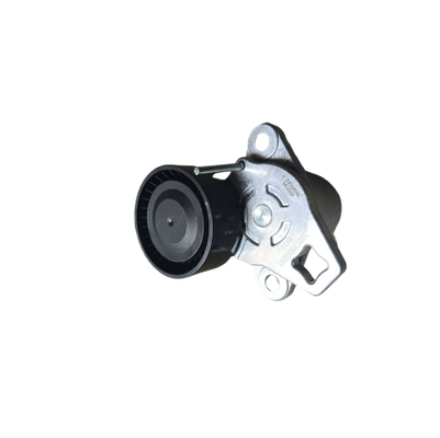 अच्छी कीमत उच्च-स्थायित्व अल्टरनेटर टेंशनर पुली – सटीक रूप से इंजीनियर OEM पार्ट 3701200XED61 ऑनलाइन